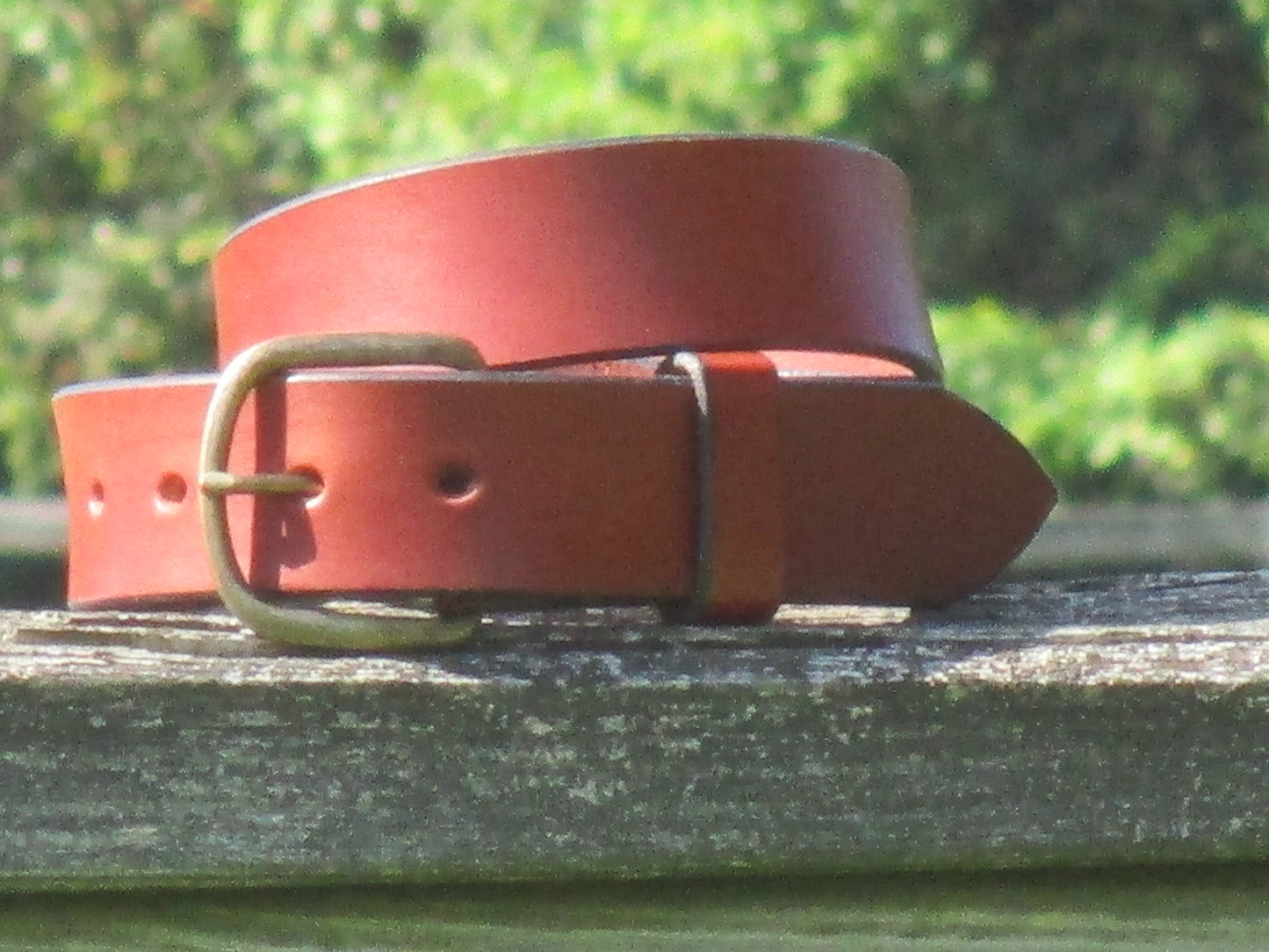Chestnut leather belt made from 9/10 English Bridle Leather with an Antique Brass buckle on a wooden surface with a blurred green background