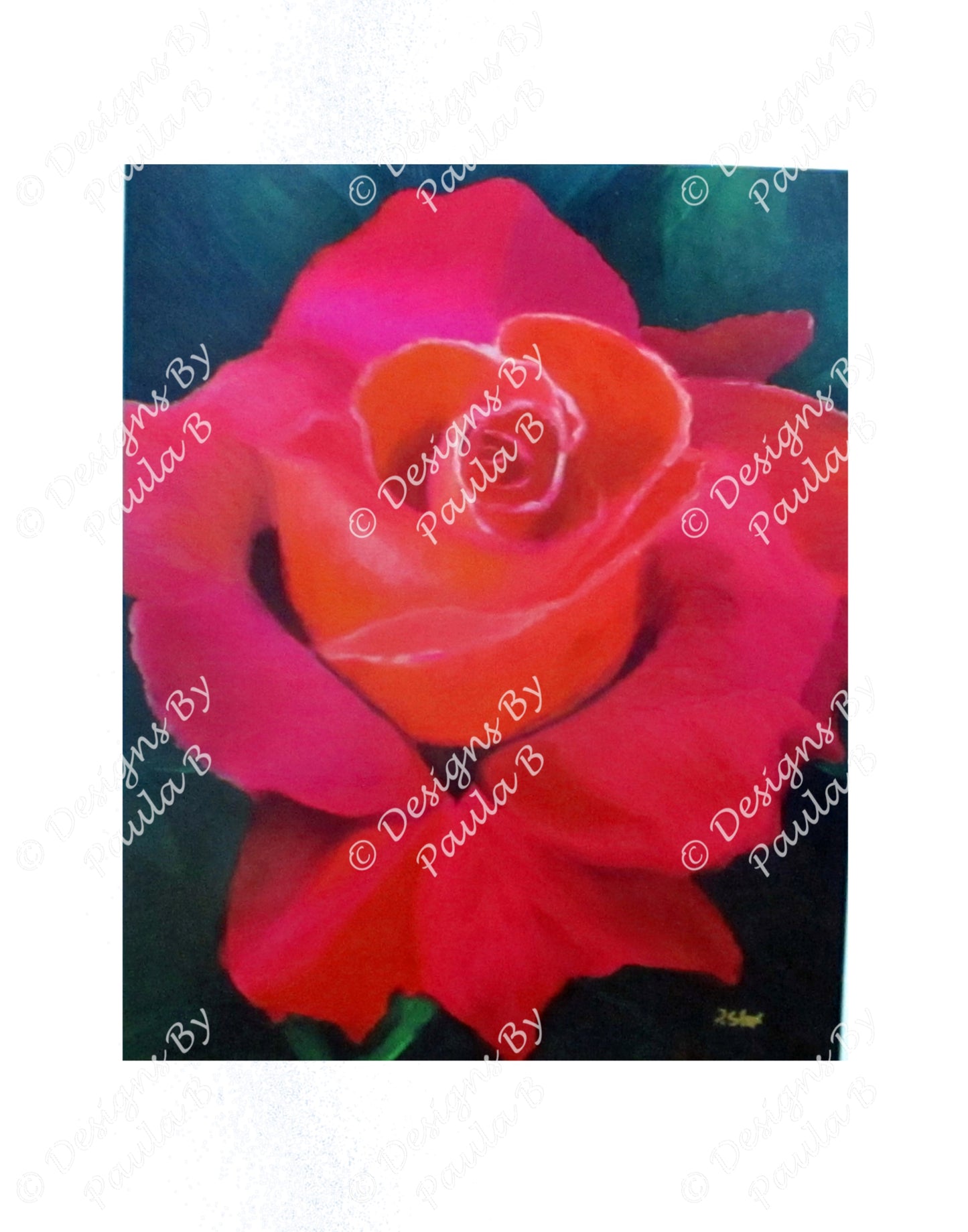 Colorful rose painting on a white background