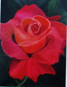 Notecards Assorted Pack #2 (rose)