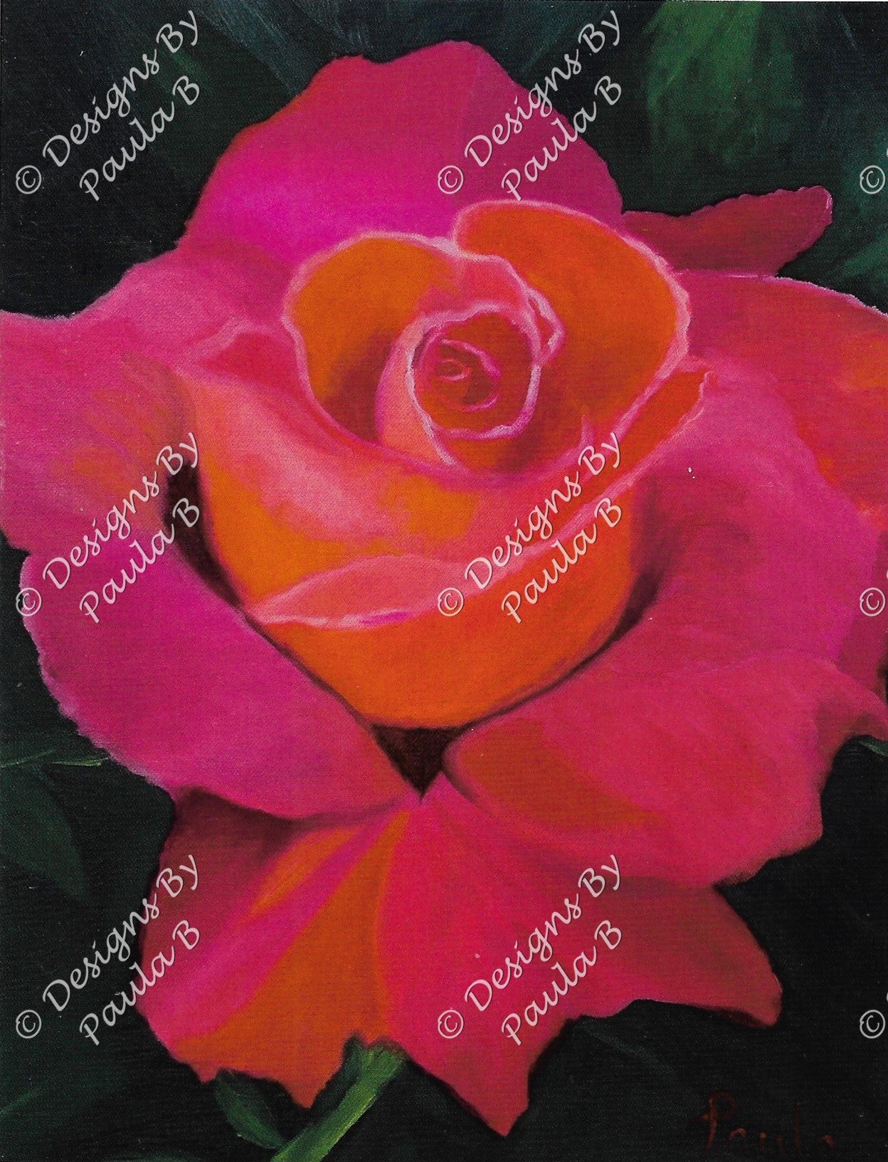 Close-up of a rose.