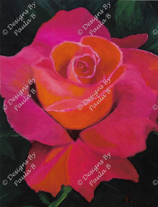 Close-up of a rose.