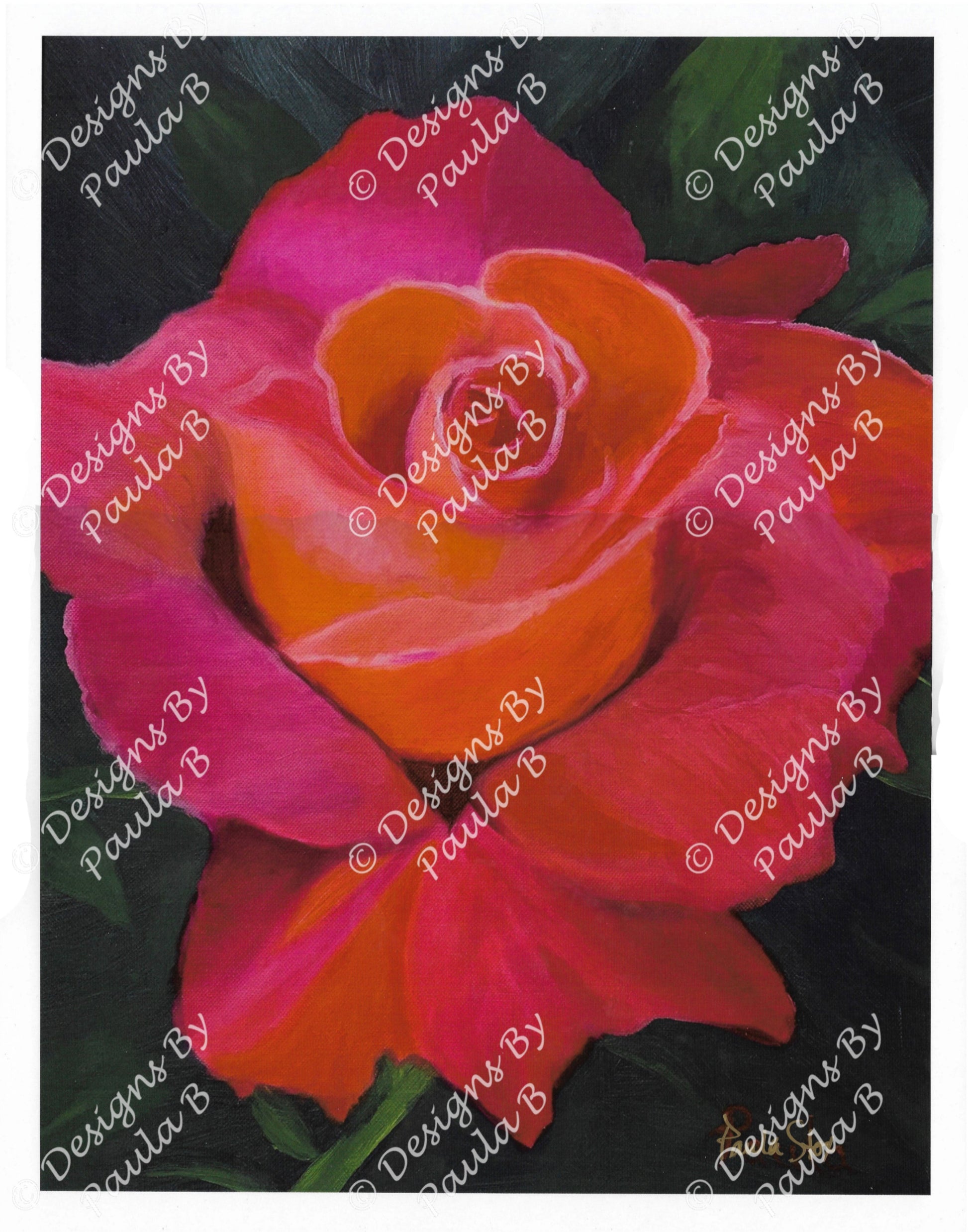 Colorful rose with pink and orange petals on a dark background.