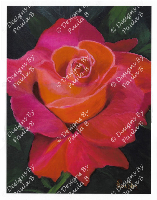 Colorful rose with pink and orange petals on a dark background.